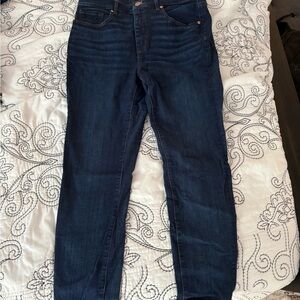 LOFT Women's Dark Blue Jeans